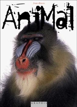 Hardcover Animal: Phot of James Balog Book