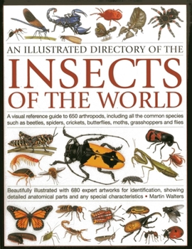 The Illustrated World Encyclopedia of Insects: A natural history and identification guide to beetles, flies, bees wasps, springtails, mayflies, stoneflies, ... spide (Illustrated World Encyclopedia)