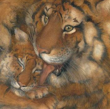 Hardcover Little Lost Tiger Book