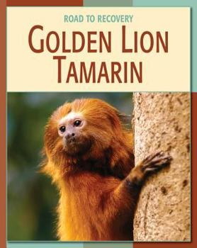 Library Binding Golden Lion Tamarin Book