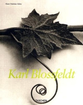 Paperback Karl Blossfeldt, 1865-1932 Book