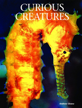Hardcover Curious Creatures Book