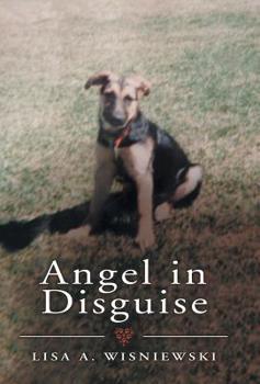 Hardcover Angel in Disguise Book