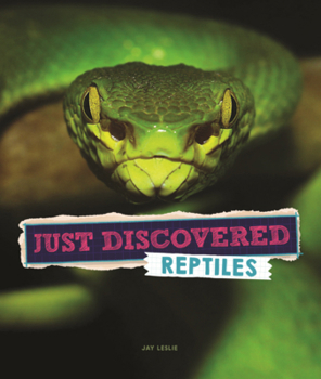 Library Binding Just Discovered Reptiles Book