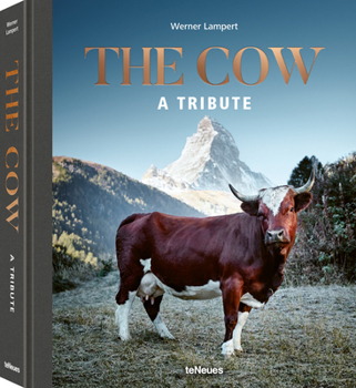 Hardcover The Cow: A Tribute Book