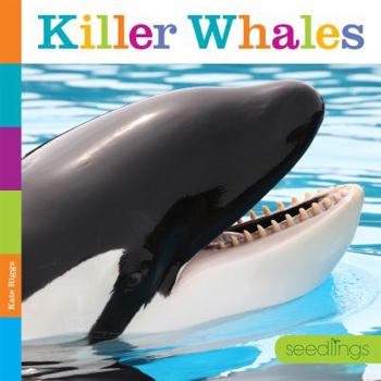 Paperback Seedlings: Killer Whales Book