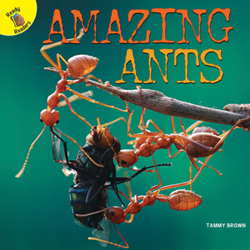 Library Binding Amazing Ants Book