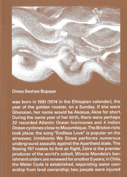 Paperback Dineo Seshee Bopape Book