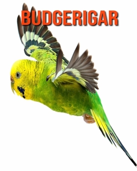 Paperback Budgerigar: Fun Learning Facts About Budgerigar Book