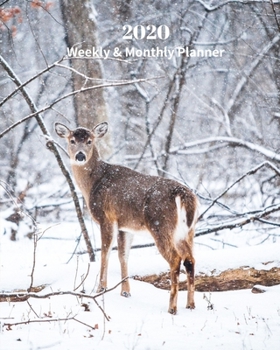 Paperback 2020 Weekly and Monthly Planner: White Tail Deer in the Snow- Monthly Calendar with U.S./UK/ Canadian/Christian/Jewish/Muslim Holidays- Calendar in Re Book