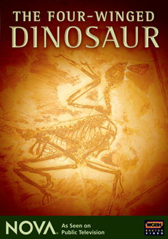 DVD Nova: The Four-Winged Dinosaur Book