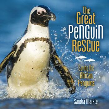 Library Binding The Great Penguin Rescue: Saving the African Penguins Book