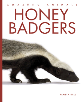 Honey Badgers