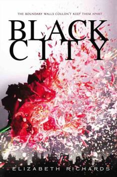 Black City - Book #1 of the Black City