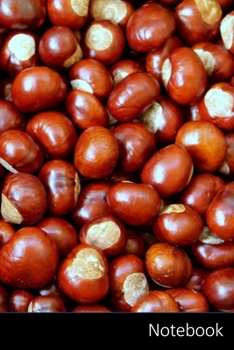 Notebook: Chestnuts,  Autumn,  Brown,  In The Fall Notebook / Journal / Diary / Composition book - 6 x 9 inches (15,24 x 22,86 cm), 150 pages, glossy finish.