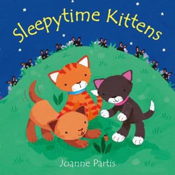 Hardcover Sleepytime Kittens Book