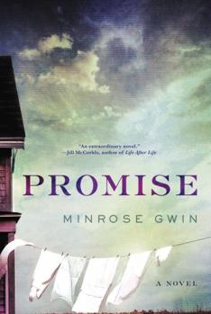 Hardcover Promise Book