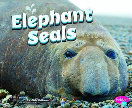 Hardcover Elephant Seals Book