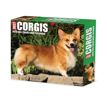Calendar Corgis 2025 6.2 X 5.4 Box Calendar Book
