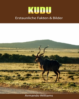 Paperback kudu: Erstaunliche Fakten & Bilder [German] Book