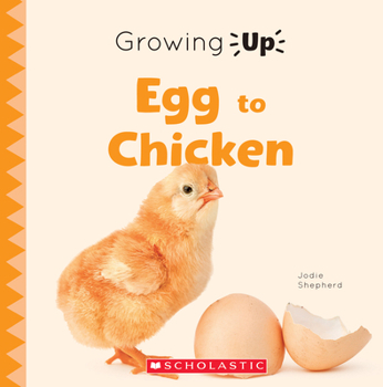 Growing Up from Egg to Chicken (Explore the Life Cycle!) - Book  of the Growing Up