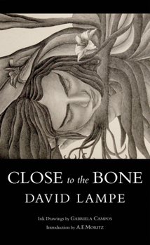 Paperback Close to the Bone Book