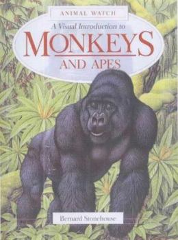 Paperback Visual Introduction to Monkeys and Apes (Amimal Watch) Book