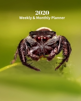 Paperback 2020 Weekly and Monthly Planner: Jumping Spider - Monthly Calendar with U.S./UK/ Canadian/Christian/Jewish/Muslim Holidays- Calendar in Review/Notes 8 Book