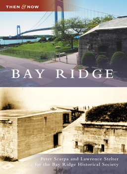 Paperback Bay Ridge Book