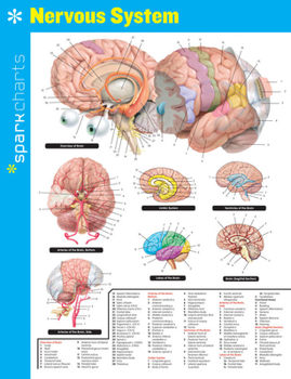 Nervous System - Book  of the SparkCharts