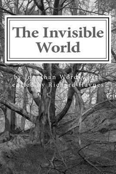 Paperback The Invisible World: Lectures on British Romantic Poetry and the Romantic Imagination Book