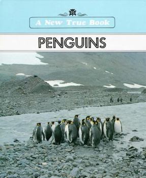 Library Binding Penguins Book
