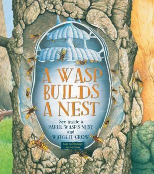 Hardcover A Wasp Builds a Nest: See Inside a Paper Wasp's Nest and Watch It Grow Book