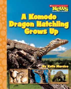 Paperback A Komodo Dragon Hatchling Grows Up (Scholastic News Nonfiction Readers: Life Cycles) Book