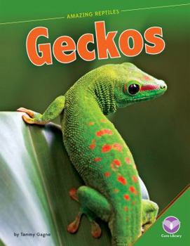 Geckos - Book  of the Amazing Reptiles