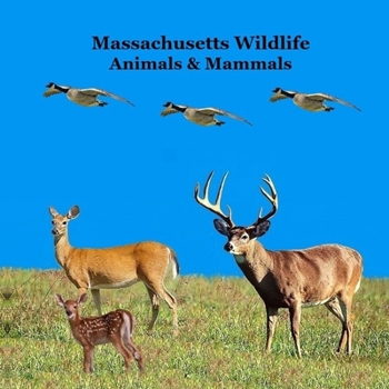 Massachusetts Animals and Mammals Kids Wildlife Book: Great Wildlife Book about Animals and Mammals in Massachusetts