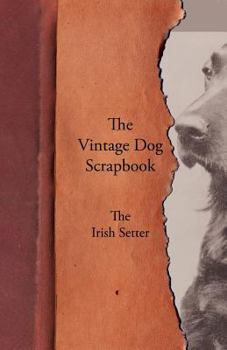 Paperback The Vintage Dog Scrapbook - The Irish Setter Book