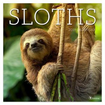 Calendar Sloths 2019 Wall Calendar Book