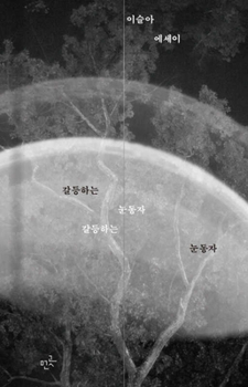 Hardcover Conflicted Gazes [Korean] Book