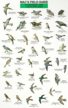 Paperback Mac's Field Guides: Northeast Park & Backyard Birds Book