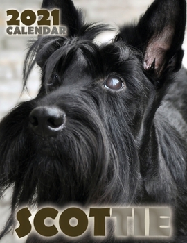 Paperback Scottie 2021 Calendar Book