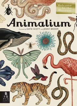 Animalium - Book  of the Welcome to the Museum