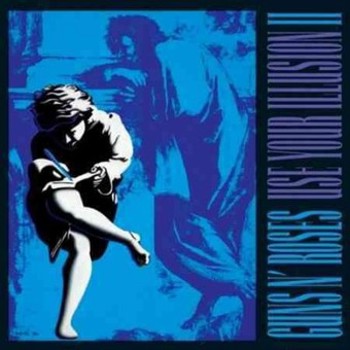 Vinyl Use Your Illusion II (2 LP) Book