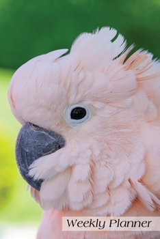 Weekly Planner: Cockatoo Daily Planner Scheduler Agenda Organizer 6x9 52 weeks