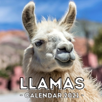 Llamas: 2021 Calendar Book, Cute Gift Idea For Llama Lovers Men And Women