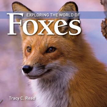 Paperback Exploring the World of Foxes Book