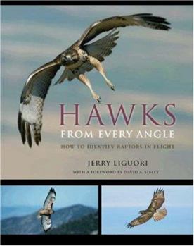 Paperback Hawks from Every Angle: How to Identify Raptors in Flight Book