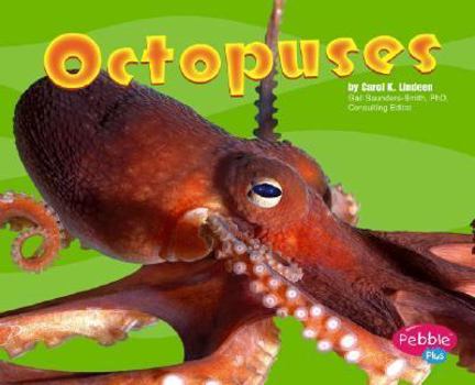 Hardcover Octopuses Book