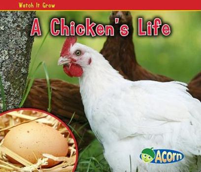 Hardcover A Chicken's Life Book