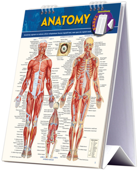 Spiral-bound Anatomy Easel Book: A Quickstudy Reference Tool Book